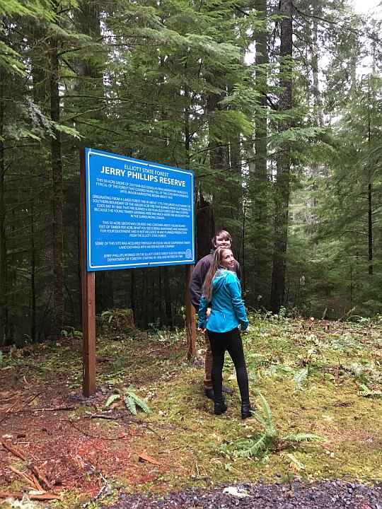 ElliotForest