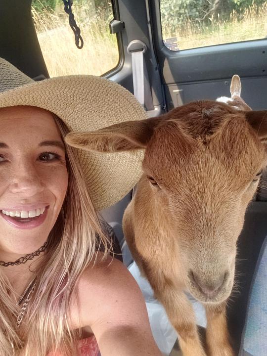 Hauling the Goat