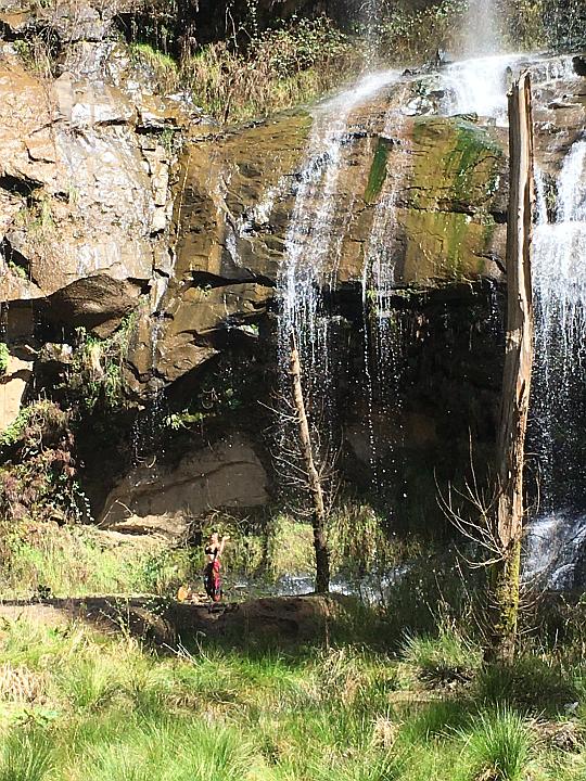 National Forest Falls National Forest Falls